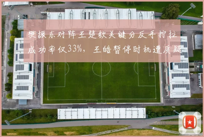 樊振东对阵王楚钦关键分反手拧拉成功率仅33%，王皓暂停时机遭质疑
